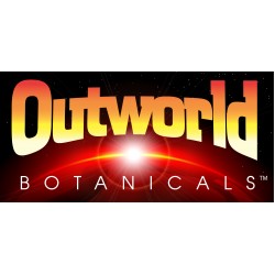 Outworld Botanicals Gummy Squares